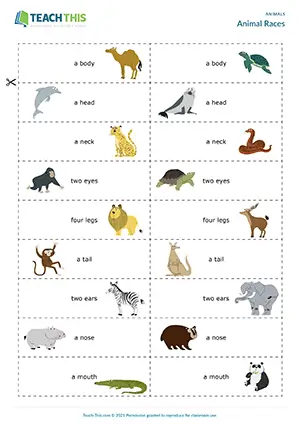 ESL animal vocabulary game preview, pre-intermediate A2, answering quiz questions, drawing, group work