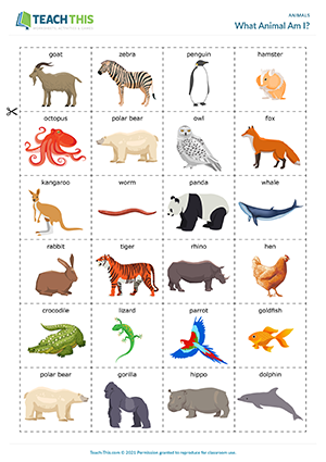 What Animal Am I? Preview