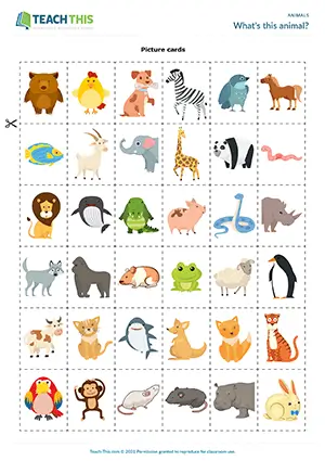 ESL animals game preview, elementary A1-A2, bingo, matching, group work
