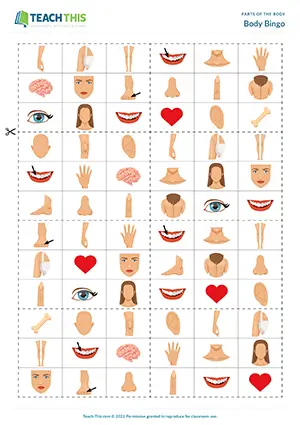 ESL Parts of the Body Game, elementary A1-A2, matching, bingo
