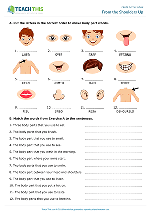 Verb Anatomy Bingo Card