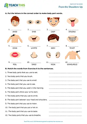 ESL Body Parts Worksheet, pre-intermediate A2, unscrambling, matching, categorising