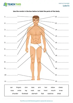 ESL Parts of the Body Worksheets, elementary A1-A2, labelling, drawing