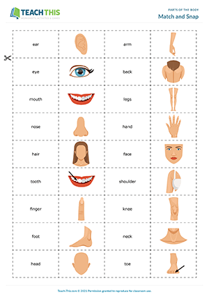 Parts of the Body ESL Games Activities Worksheets