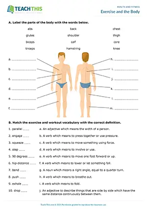 ESL fitness worksheet preview for advanced C1 with body vocabulary, labelling, matching and paragraph writing