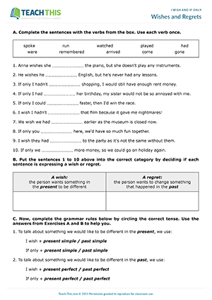 Wishes and Regrets Worksheet Preview
